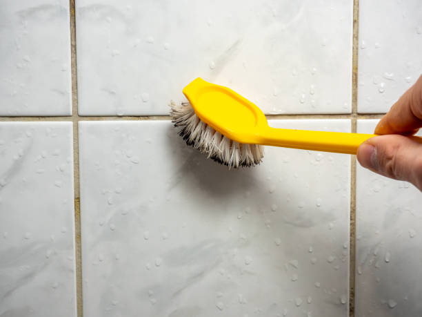 Best Professional Mold Removal  in Clarkston, GA