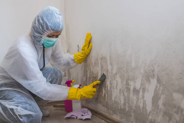 Best Mold Removal Process  in Clarkston, GA