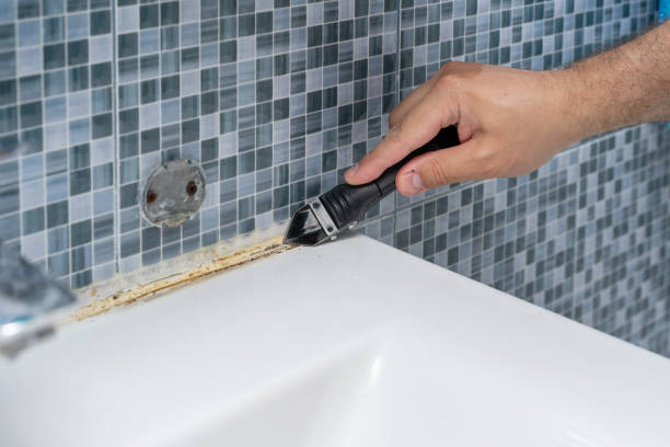 Mold Removal Process in Clarkston, GA